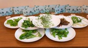 为什么吃蔬菜要多选深色的 营养价值更高