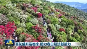 百花盛开迎客来 助力春日经济新活力