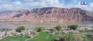 科技加持让春日麦田“节节高”