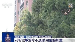 为什么花粉过敏的大都是北方人? 花粉浓度高位影响