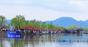 大学生西湖边当陪拍日赚1800