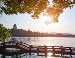 西湖撒漂白粉尽量降低生态影响 科学护荷行动