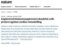 浙大二院发现心衰治疗新方式 精准免疫调节