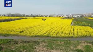 春耕关键期 金融“春雨”为农业生产保驾护航