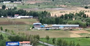 买便宜种子导致减产甚至绝收 警惕“假劣种子”