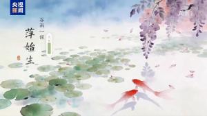 国色绘谷雨丨雨润百谷 万物昌荣