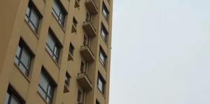 女子崩溃投诉装修噪音扰民 竟是啄木鸟“作案”