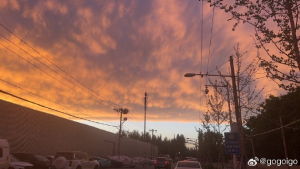 男子在普通病房偶遇演员陶泽如 低调选择引热议