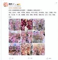 众明星给谢娜演唱会送花篮 圈内人缘见证真诚友谊