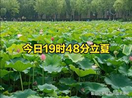 今日“立夏”：1要称、2要吃、3要忌 顺应节气过盛夏