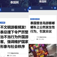 泰官员：严厉打击各类违法犯罪行为 外国游客不当行为频发