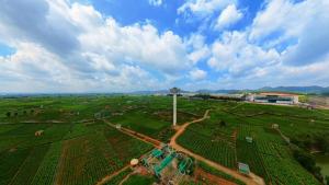 农事“丰”景丨34万花农忙丰收 一朵茉莉香飘全国