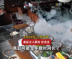 鱼缸爆裂价值30万名贵鱼变鱼头汤