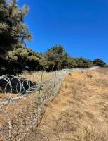 泰山将拆改隔离网 优化改进方案公布