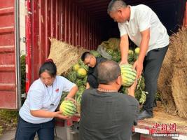 河南开封爱心接力共解西瓜销售难题 全城联动助农纾困