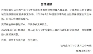 河南刑案嫌犯被抓 逃窜时伤害多人 专案组成功抓捕犯罪嫌疑人