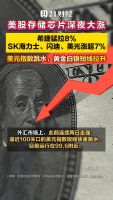 美股存储板块大涨 SK海力士涨超7% 半导体指数领涨市场