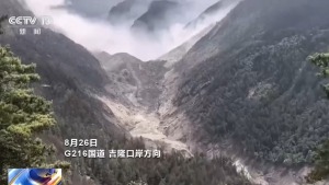 22封请战书都是去吉隆 退伍士兵主动请缨救援