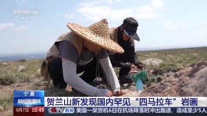罕见“四马拉车”岩画是谁画的 填补同类题材空白