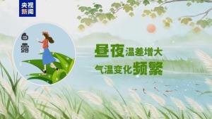 白露换季养生要点 三宜三避记心间