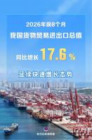 前8个月我国外贸增长17.6% 延续快速增长态势