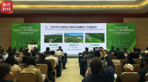我国矿产资源家底更加厚实，2025年全国新发现矿产地200处