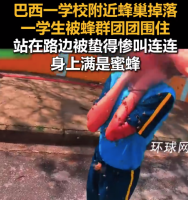 快递员不顾蜇伤救被蜜蜂围攻学生：在救援过程中至少被蛰了40次