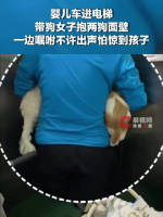 婴儿车进电梯狗主人抱两狗面壁 奔向自由快乐