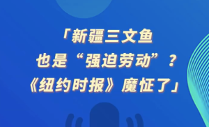新疆三文鱼也是“强迫劳动”？《纽约时报》魔怔了