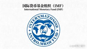 专家：警惕AI投资金融风险 IMF警示泡沫风险