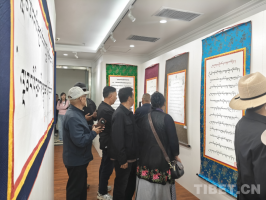 书画摄影展传递“不老”正能量