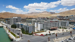 【牢记嘱托 共建美丽新西藏】中央代表团到阿里地区人民医院