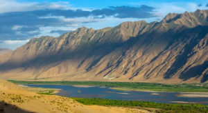 科技赋能“春满棚”——山南市发展设施农业助力乡村振兴见闻