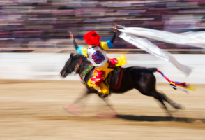 藏历新年怎么过？“马”上找答案！
