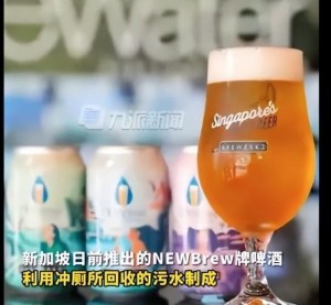 新加坡推出“冲厕水啤酒” 冲过的还是没冲过的水