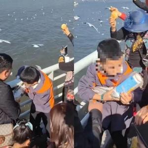警方回应父母帮男孩抓海鸥塞瓶子：已联系涉事人员，处罚由林草大队裁定