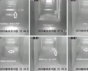 重庆一中学校长主任外出考察同宿一室，行为不当被调查