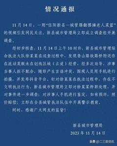 暴力执法！河南新县城管踢翻老人菜篮被停职调查