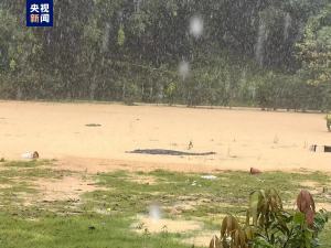 广东中山暴雨4条鳄鱼出逃 已被抓回 养殖场围墙坍塌险酿祸