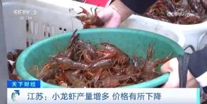 建议一次食用小龙虾不超10只 不要食用野生小龙虾