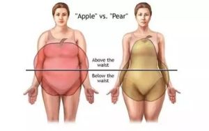 这样的身材最健康！研究发现：腰臀比小的人更长寿