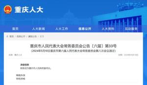陈新武任重庆市副市长 常委会第八次会议通过