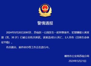 湖南郴州伤人案已致2死3伤 嫌犯被捕，调查进行中