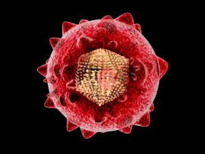 科学家们可能已经发现了乙型肝炎的致命弱点 新疗法曙光初现