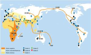 癌细胞转移时，爱往哪里跑？揭秘器官偏好之谜