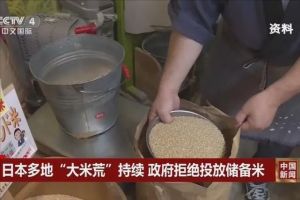 日本民众吐槽米荒期间只能吃面条 粮食危机引担忧