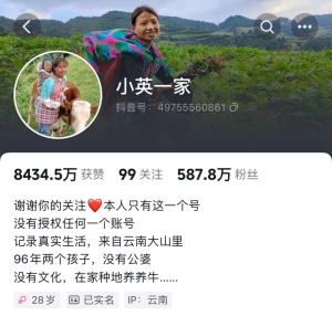 网红“小英”被曝曾送走两个女孩 当地回应：实属民间送养不构成犯罪