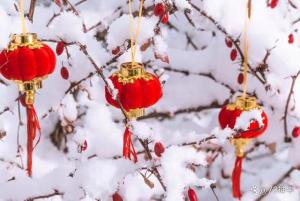 过年有雪无雪，就看十月十五：民间俗语预测春节天气