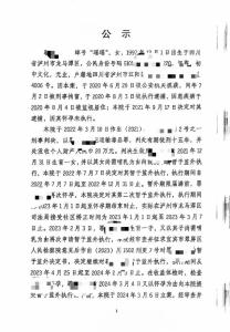 95后女子涉嫌开设赌场被通缉 多次怀孕逃避刑罚引发争议