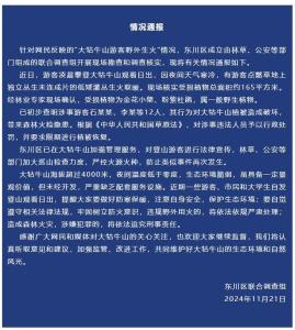 游客在大牯牛山纵火 12人被罚 涉事者面临植被恢复要求